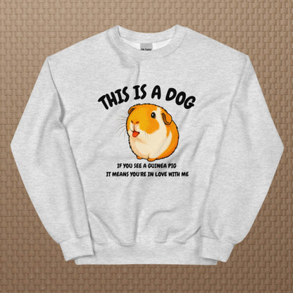 This is a dog sweatshirt