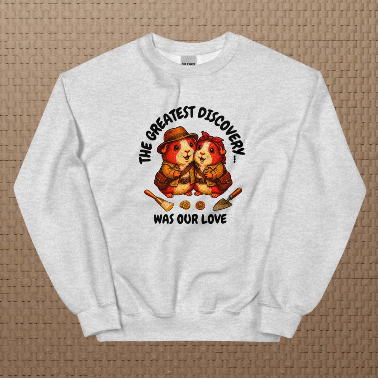 Archeologists sweatshirt