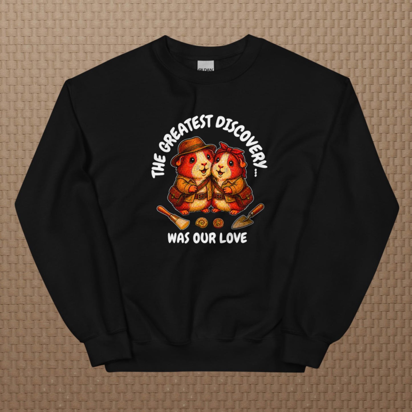Archeologists sweatshirt