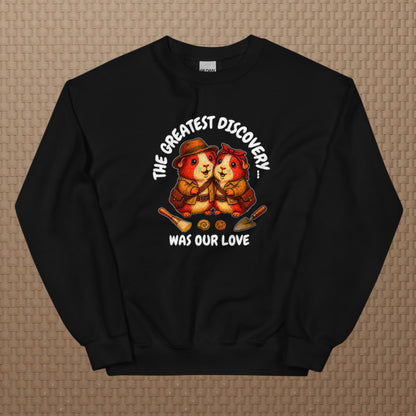 Archeologists sweatshirt