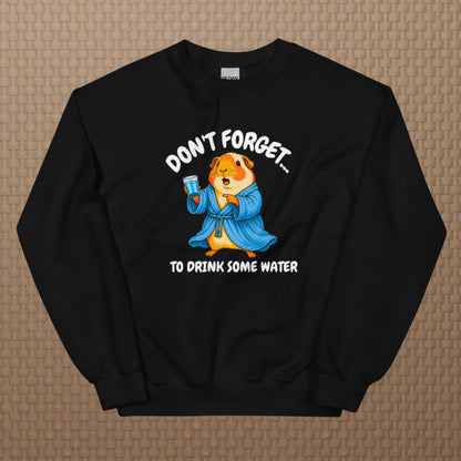 Drink some water sweatshirt