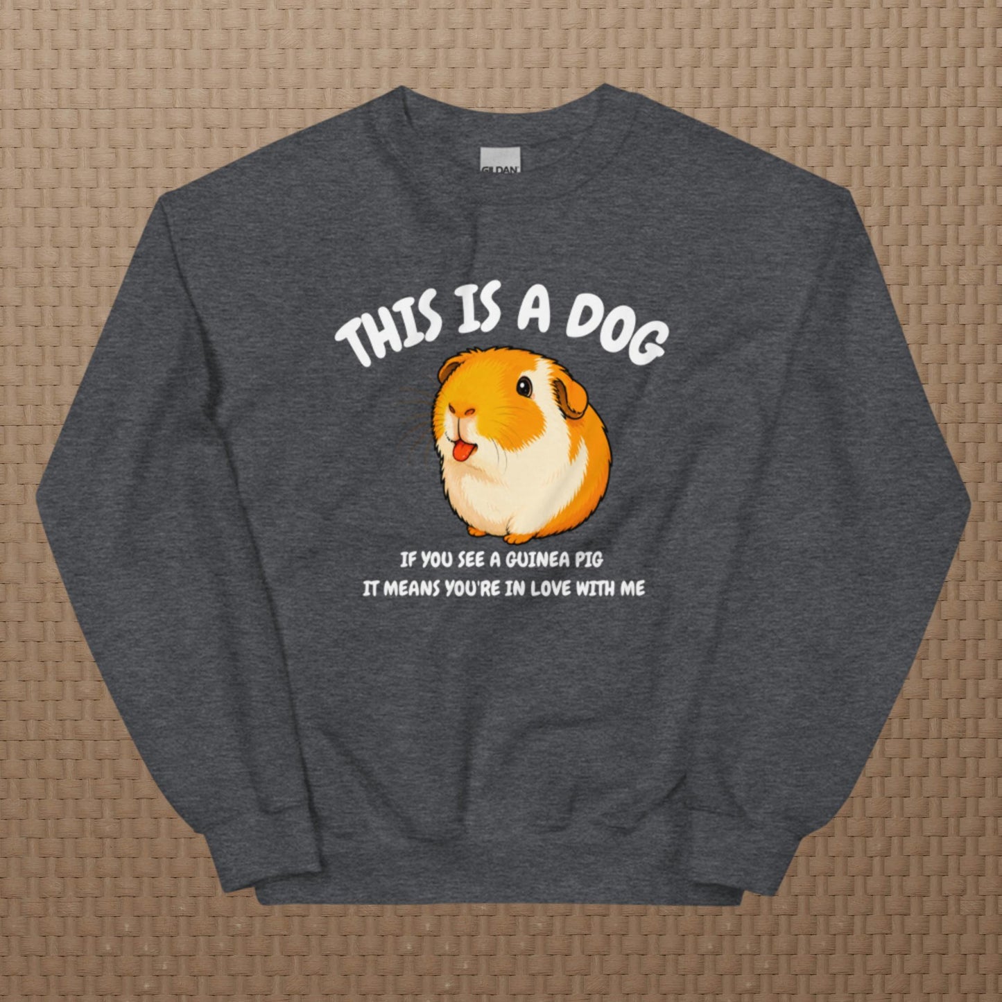 This is a dog sweatshirt