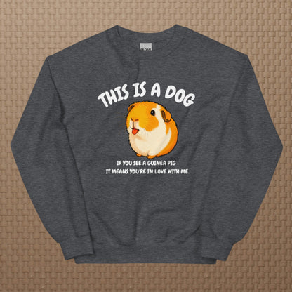 This is a dog sweatshirt