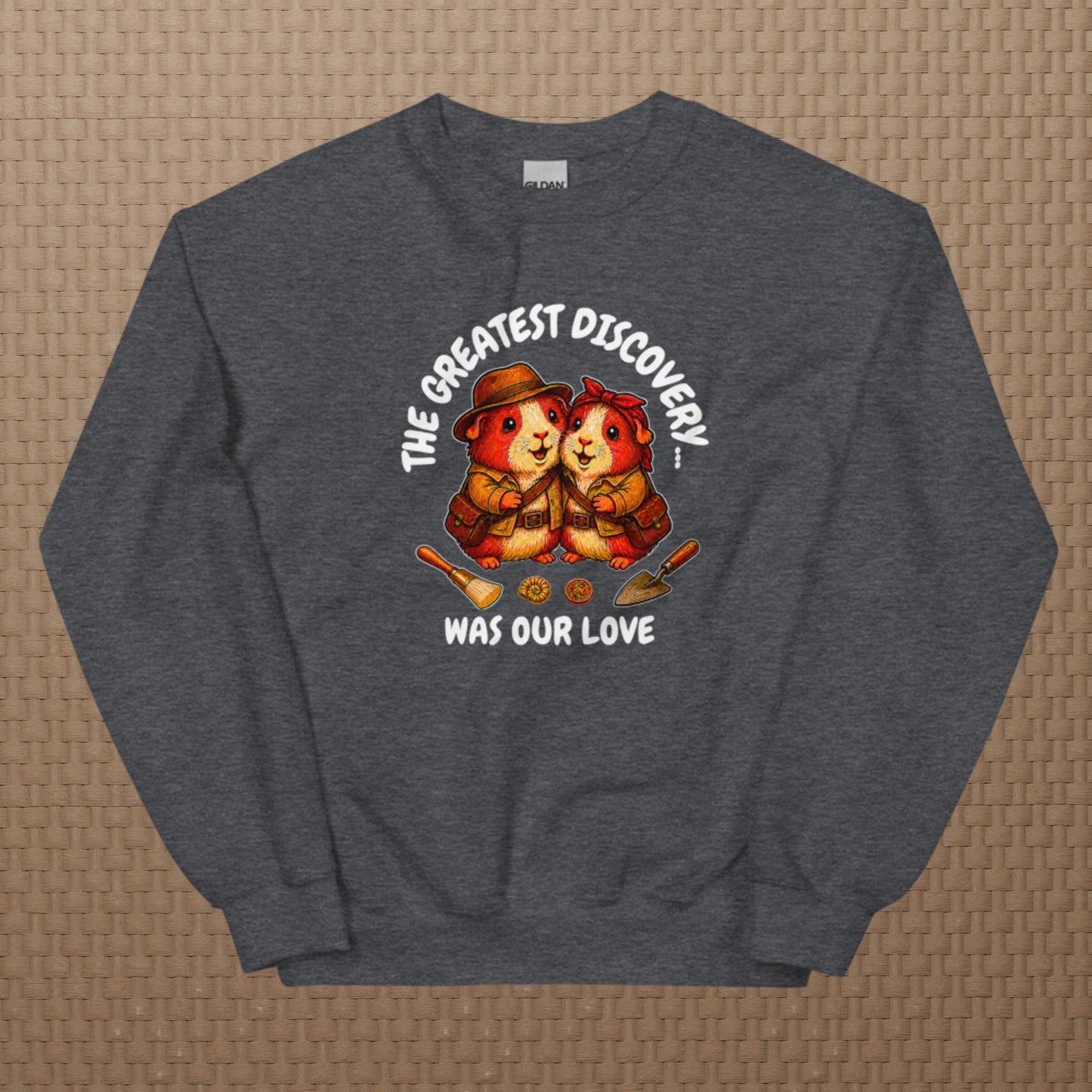 Archeologists sweatshirt