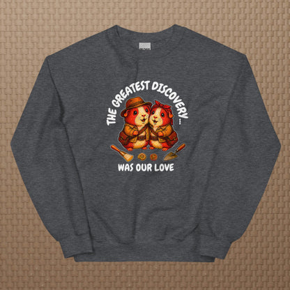 Archeologists sweatshirt