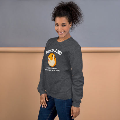This is a dog sweatshirt