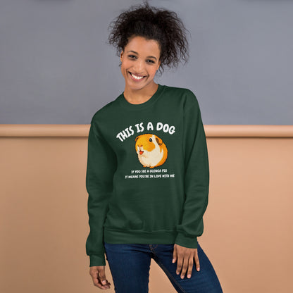 This is a dog sweatshirt