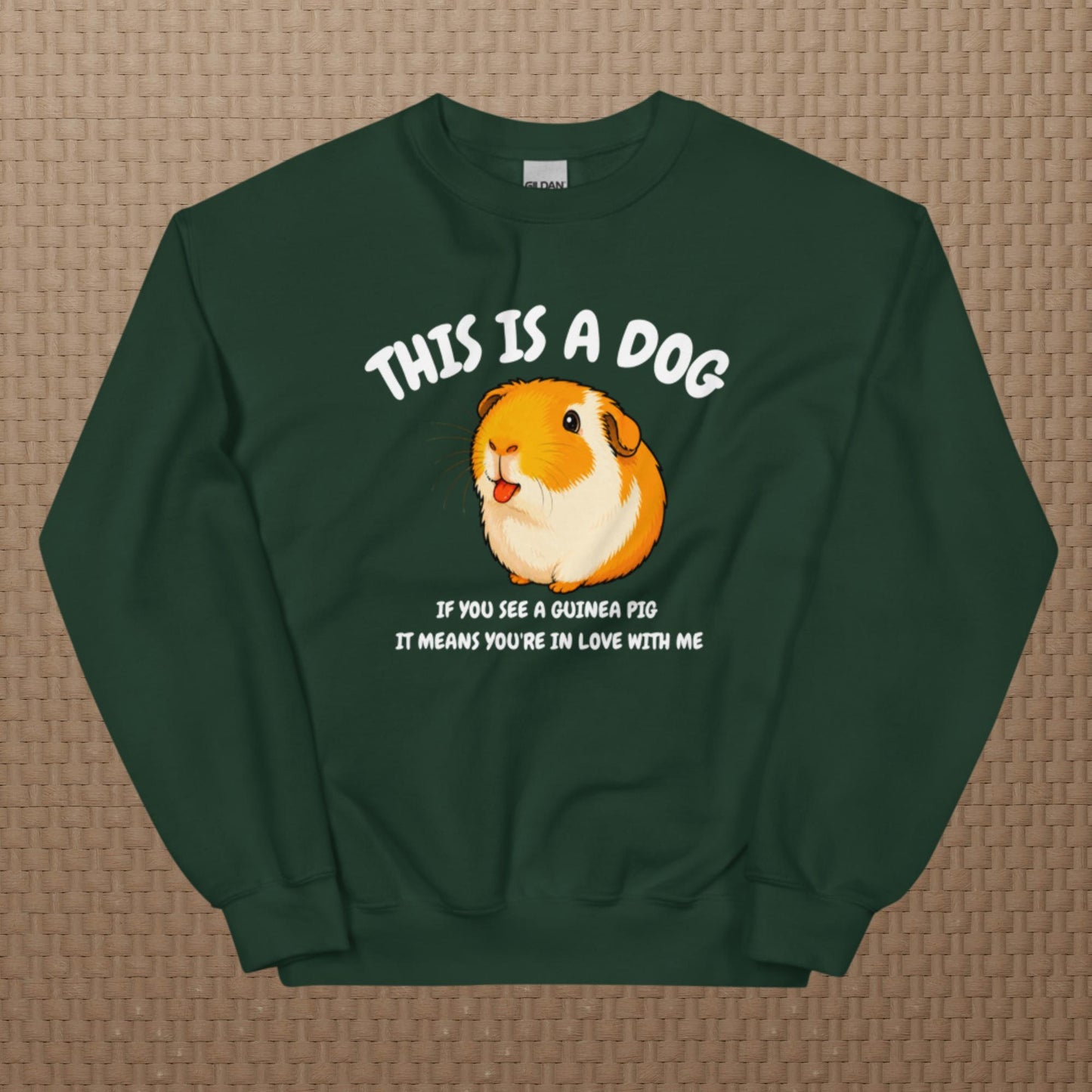 This is a dog sweatshirt
