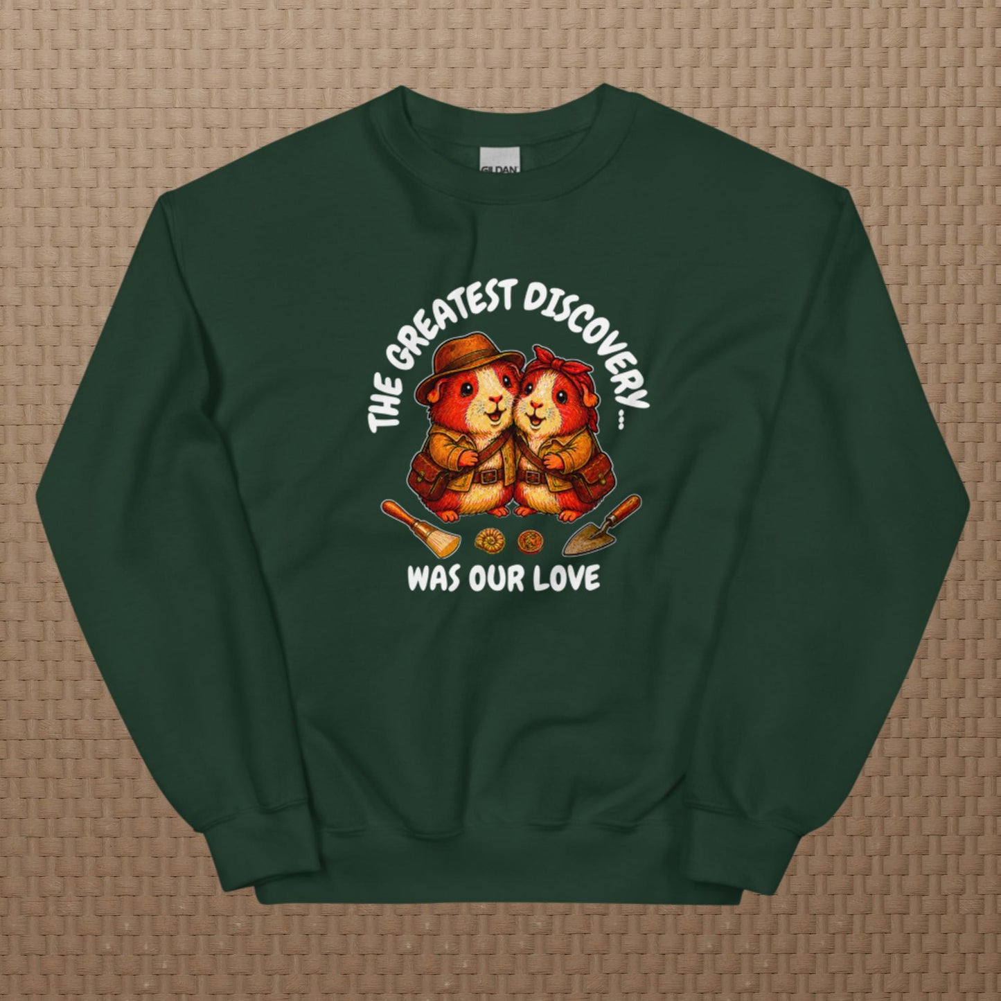Archeologists sweatshirt
