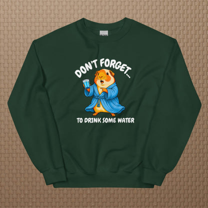 Drink some water sweatshirt