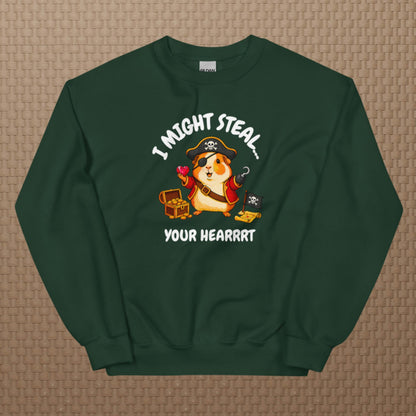 Pirate sweatshirt