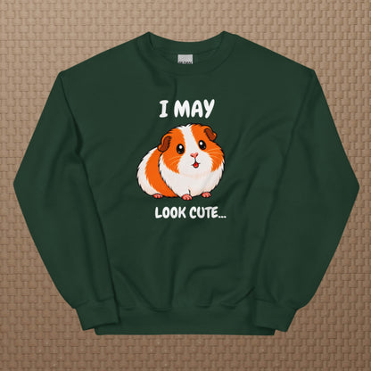 I may look cute sweatshirt
