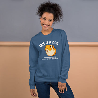 This is a dog sweatshirt