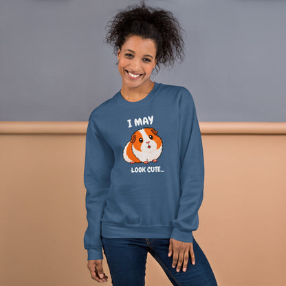 I may look cute sweatshirt