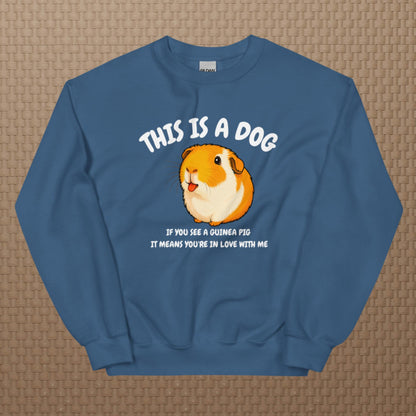 This is a dog sweatshirt