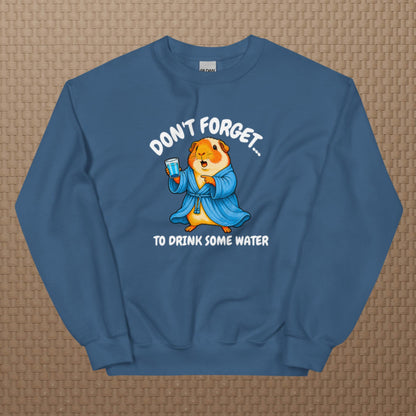 Drink some water sweatshirt