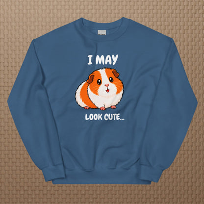 I may look cute sweatshirt