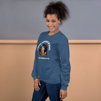 Astronaut sweatshirt