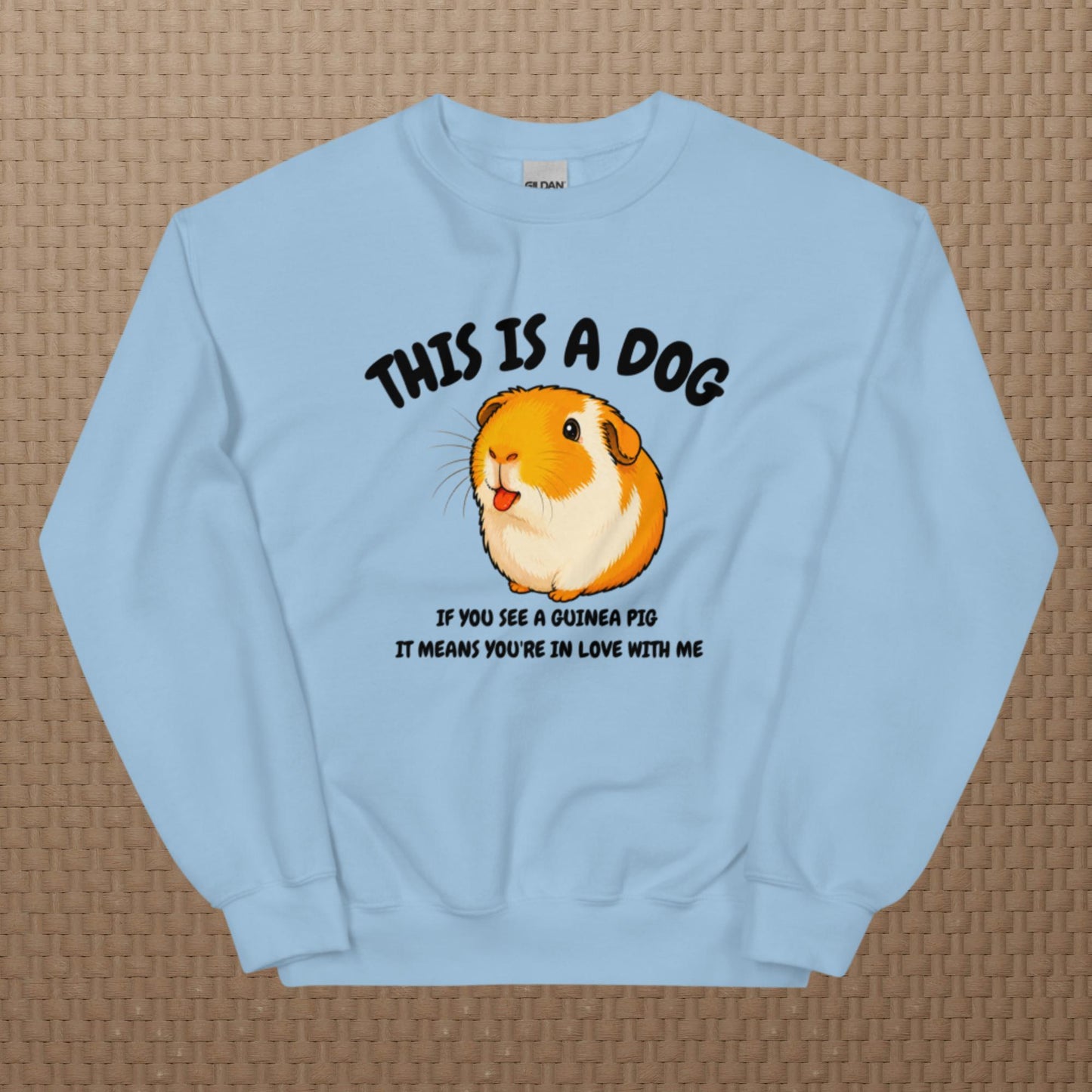 This is a dog sweatshirt
