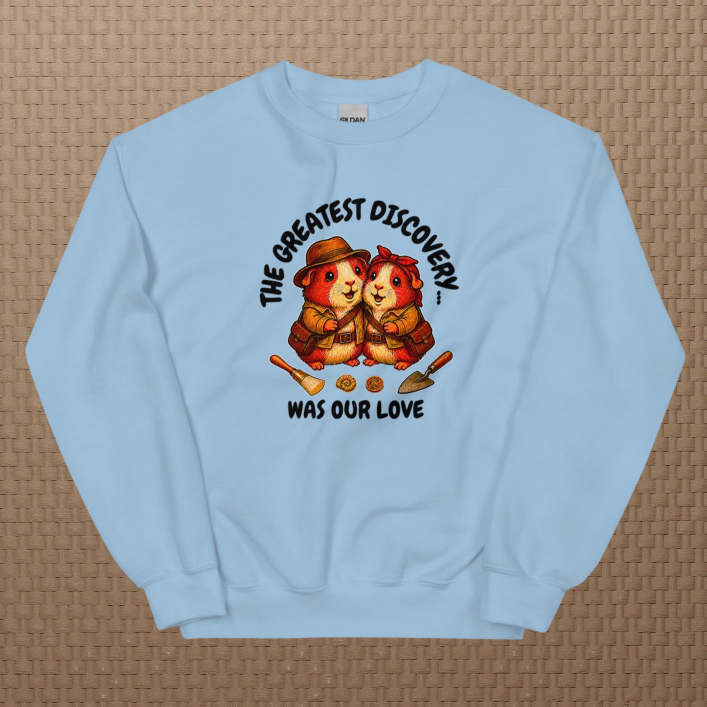 Archeologists sweatshirt
