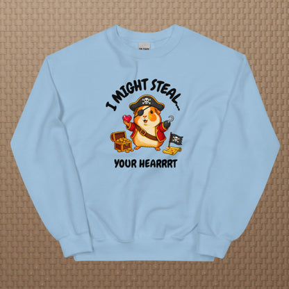 Pirate sweatshirt