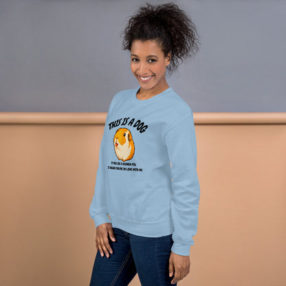 This is a dog sweatshirt