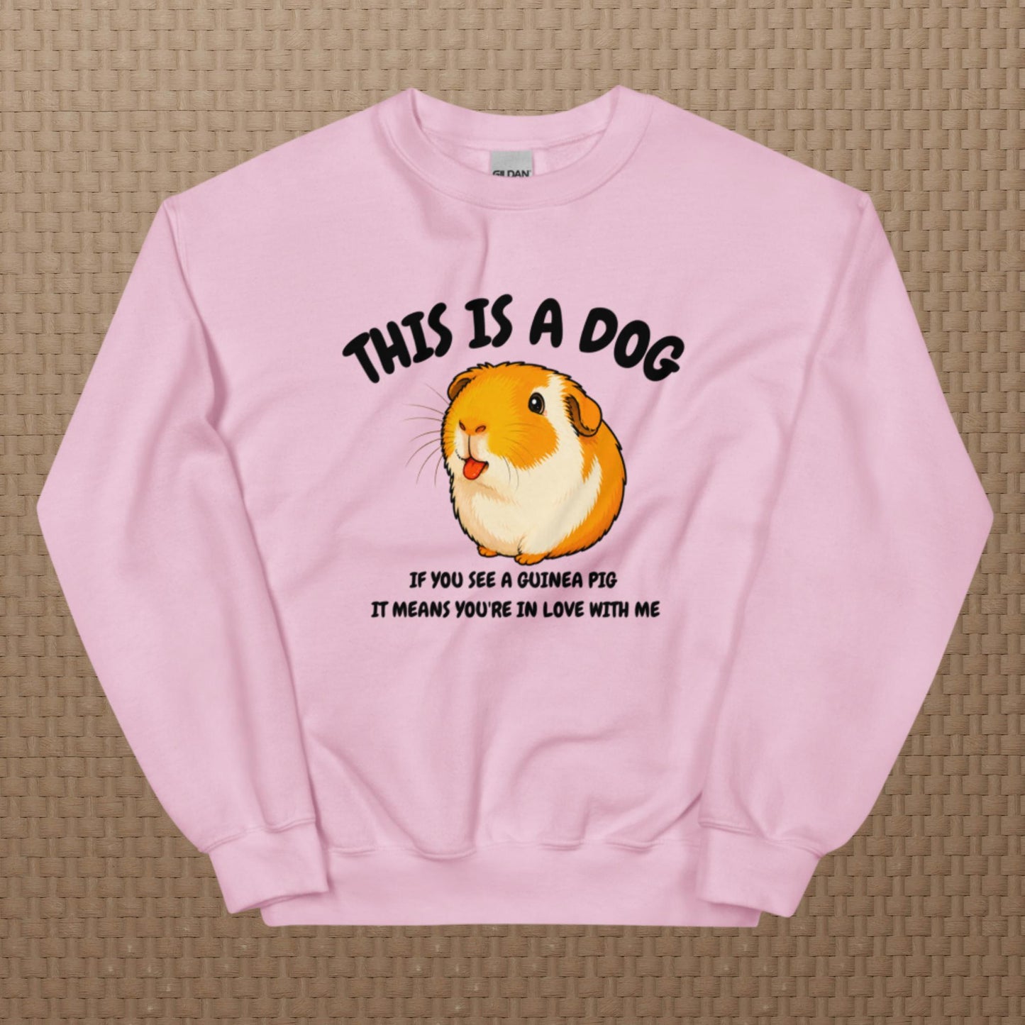 This is a dog sweatshirt