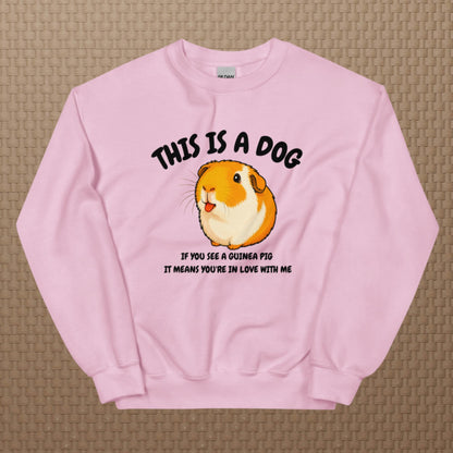 This is a dog sweatshirt