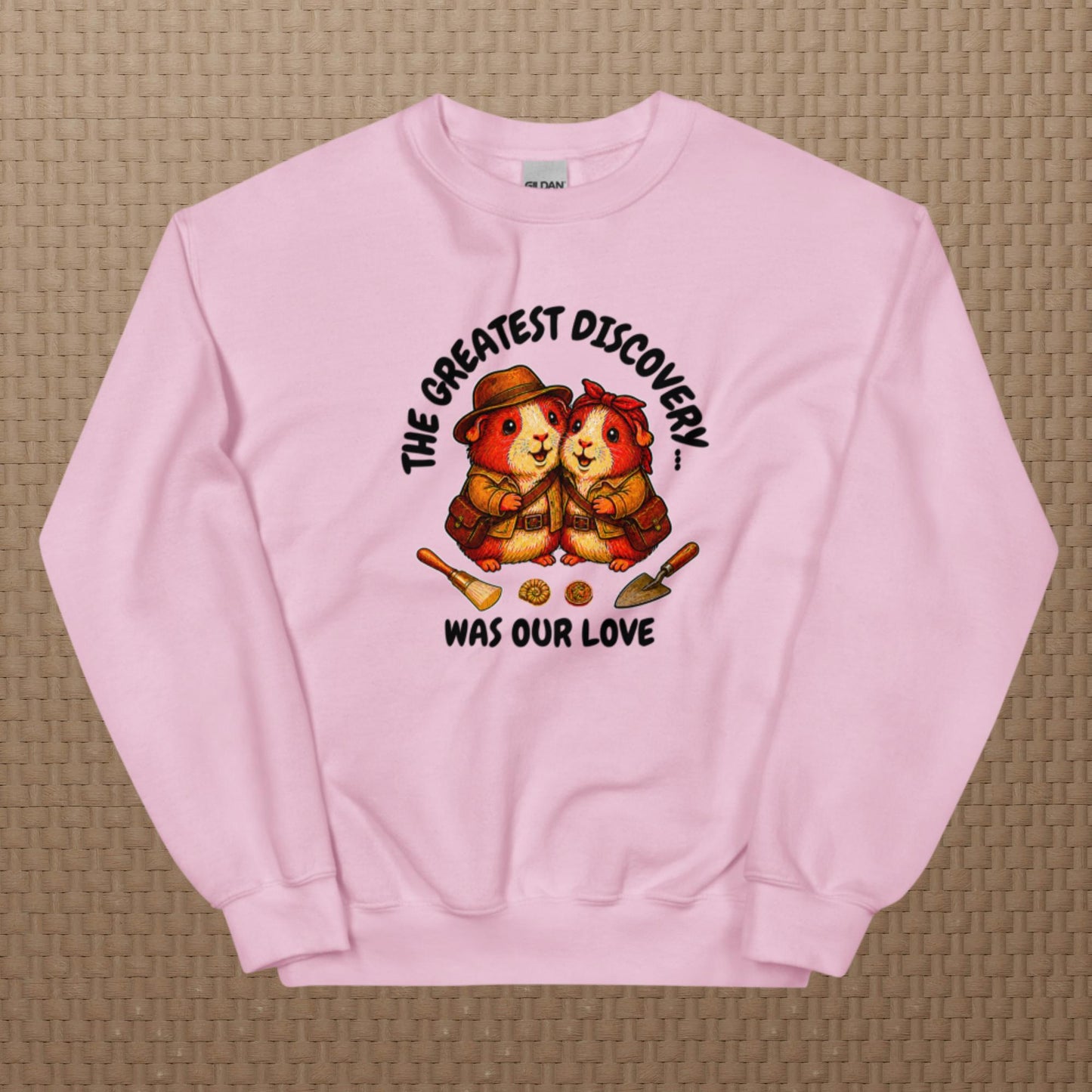 Archeologists sweatshirt