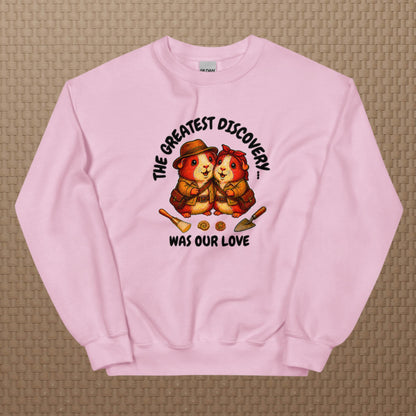 Archeologists sweatshirt