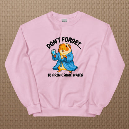 Drink some water sweatshirt