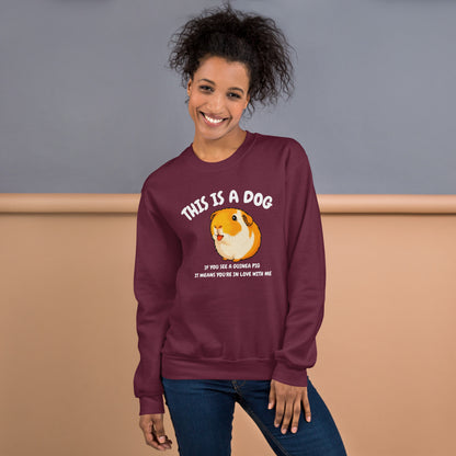 This is a dog sweatshirt