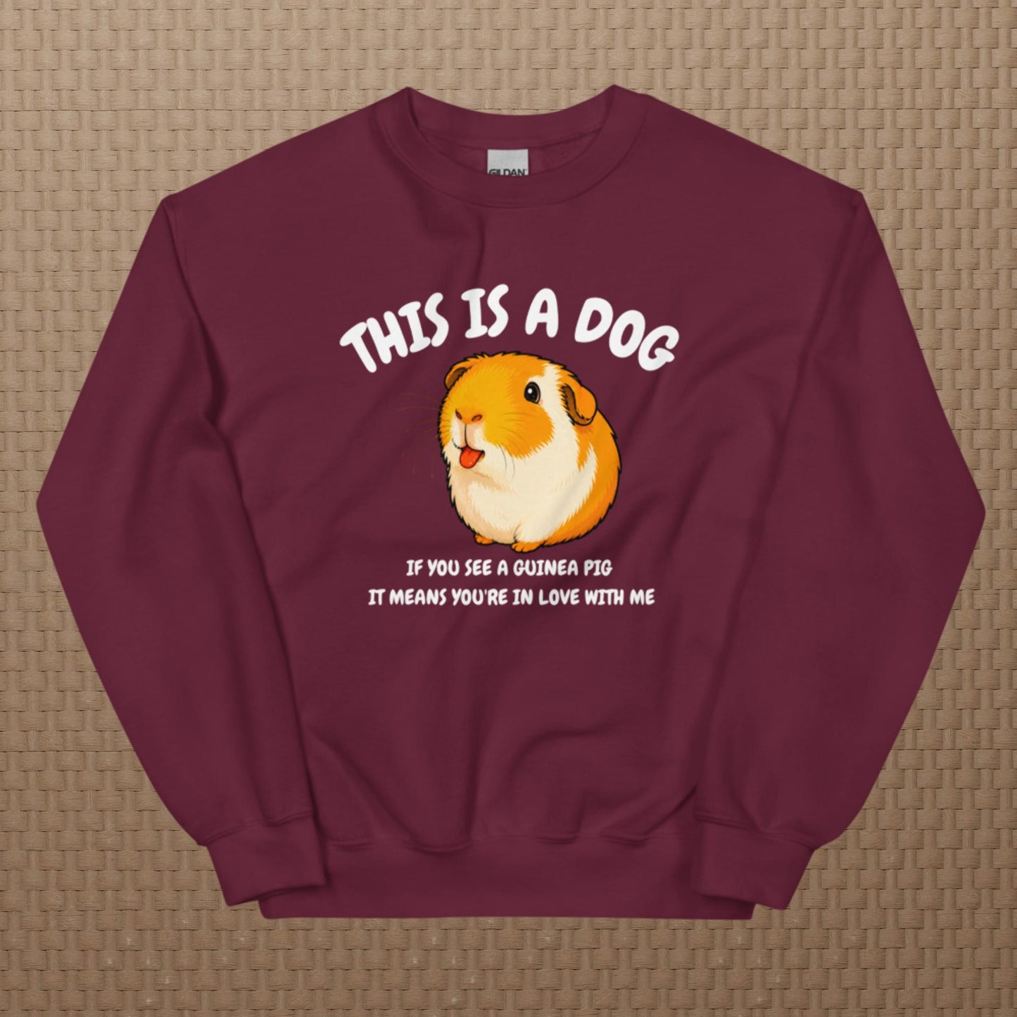 This is a dog sweatshirt