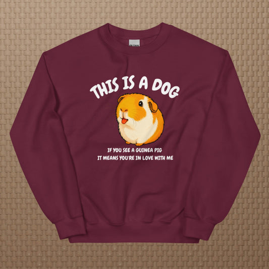 This is a dog sweatshirt