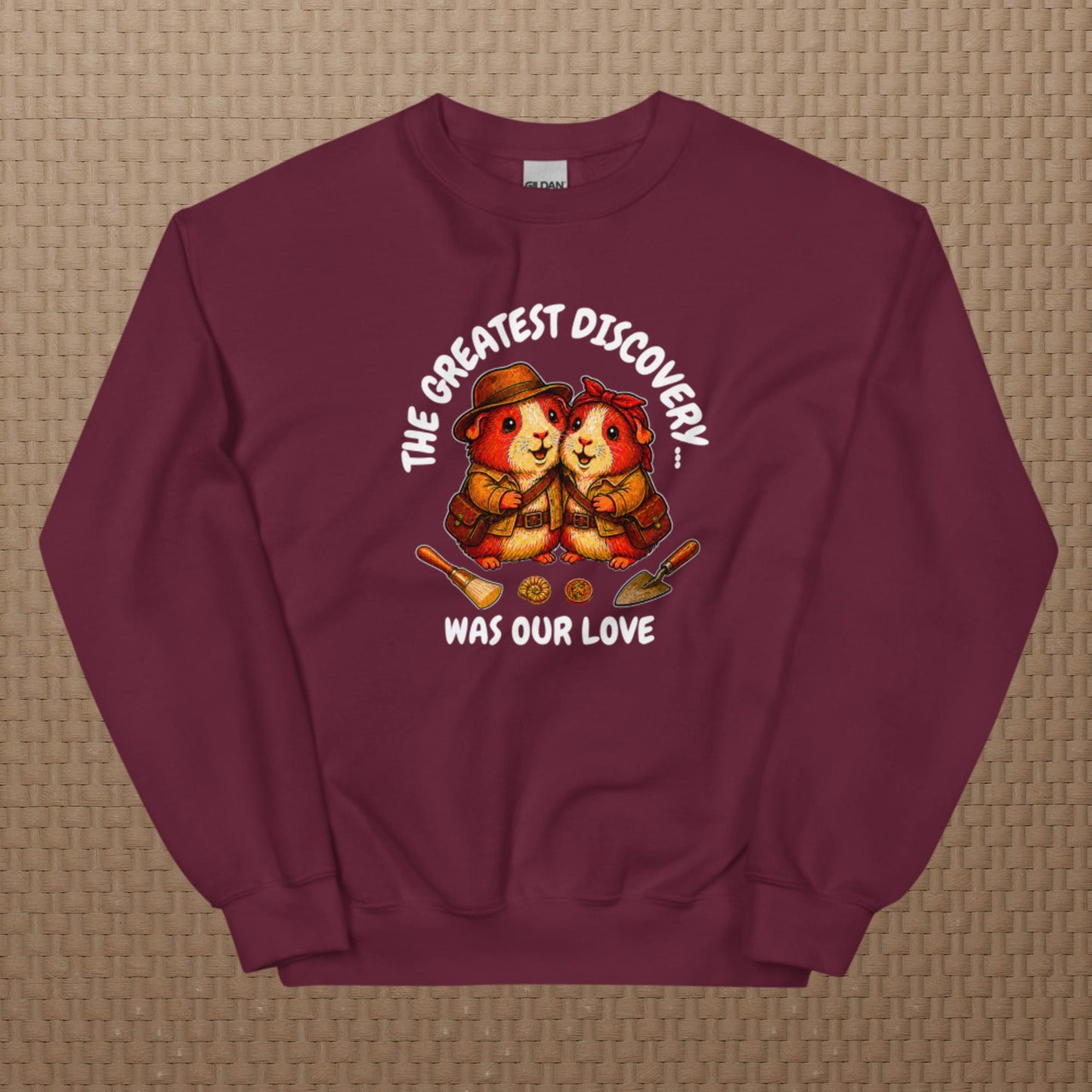 Archeologists sweatshirt