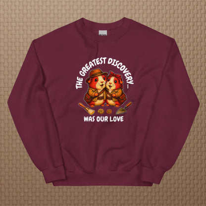 Archeologists sweatshirt
