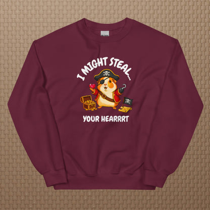Pirate sweatshirt