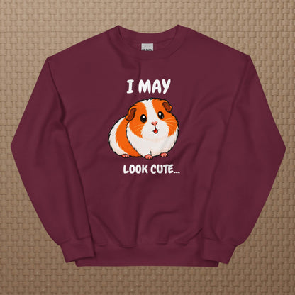 I may look cute sweatshirt