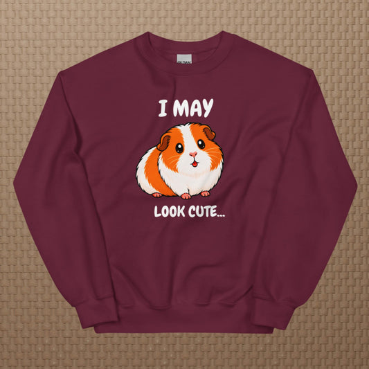 I may look cute sweatshirt