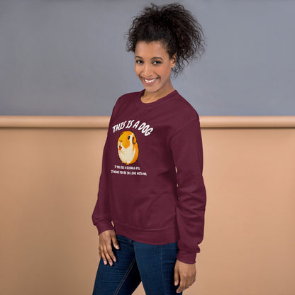 This is a dog sweatshirt