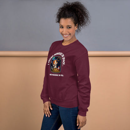 Astronaut sweatshirt