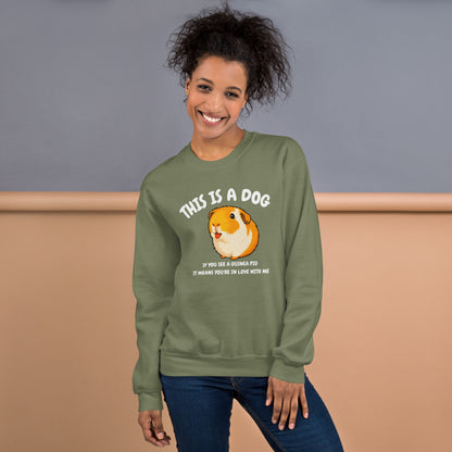 This is a dog sweatshirt