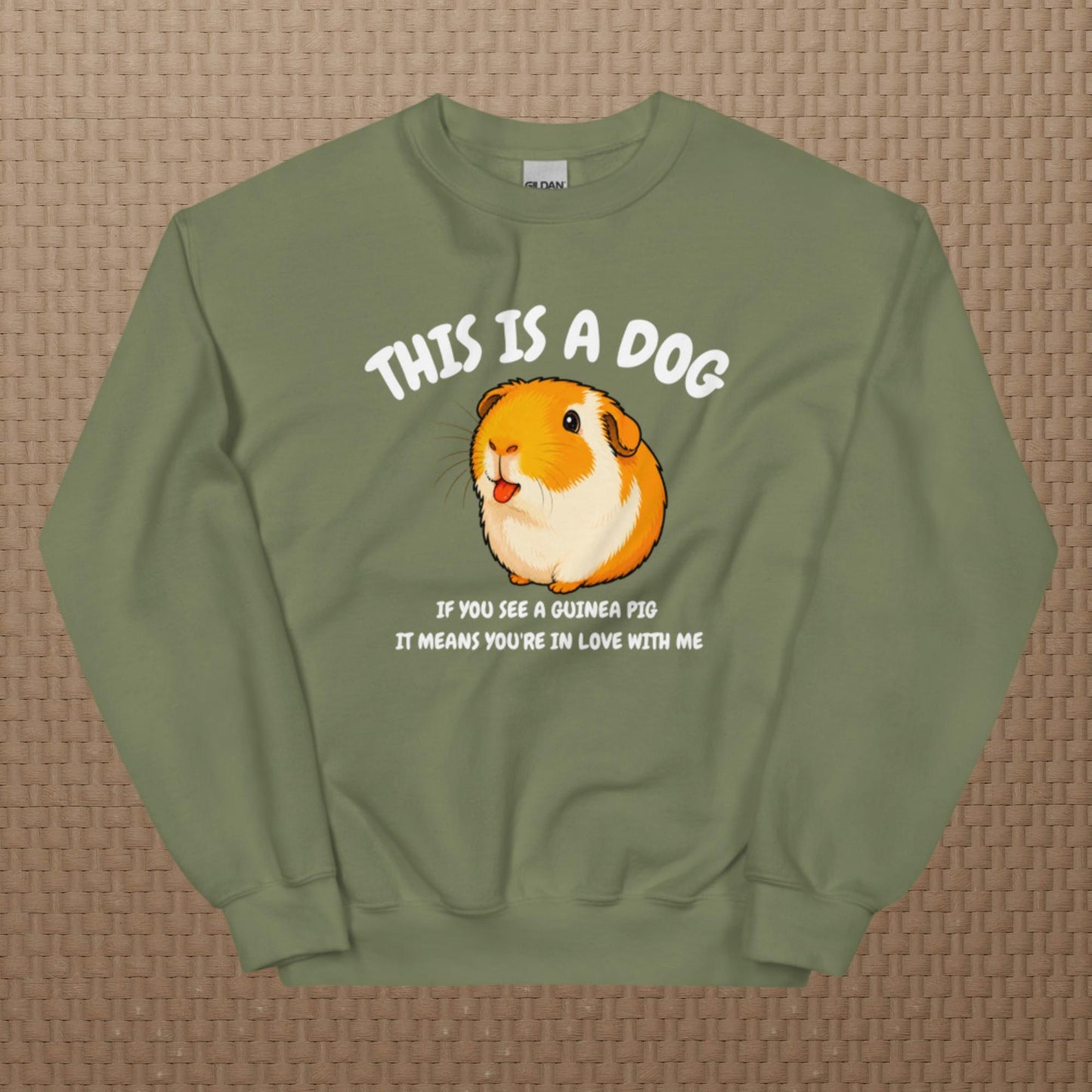 This is a dog sweatshirt