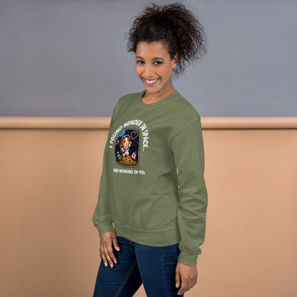 Astronaut sweatshirt