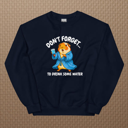 Drink some water sweatshirt