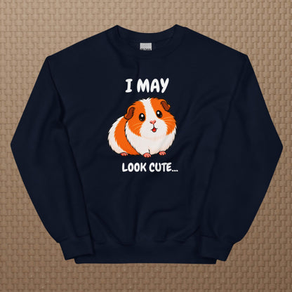 I may look cute sweatshirt