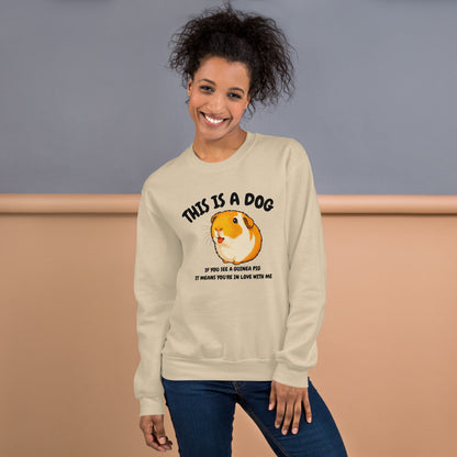 This is a dog sweatshirt