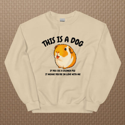 This is a dog sweatshirt
