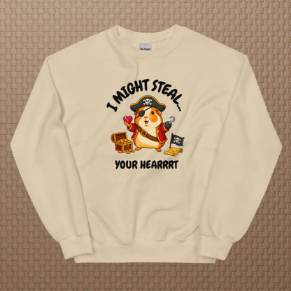 Pirate sweatshirt