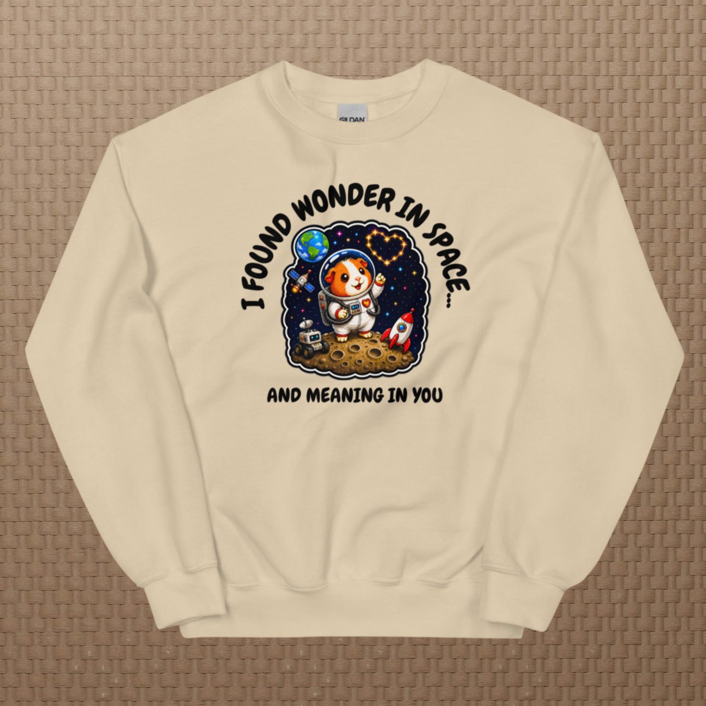 Astronaut sweatshirt